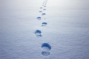 Photographie de pas dans la neige
