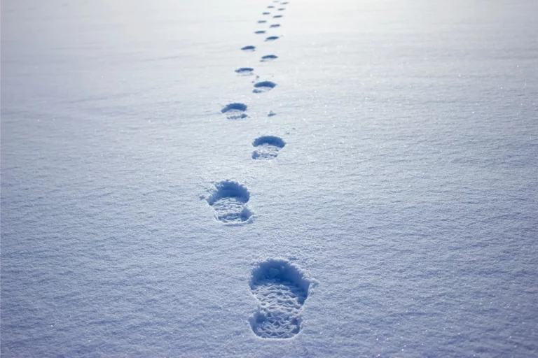 Photographie de pas dans la neige