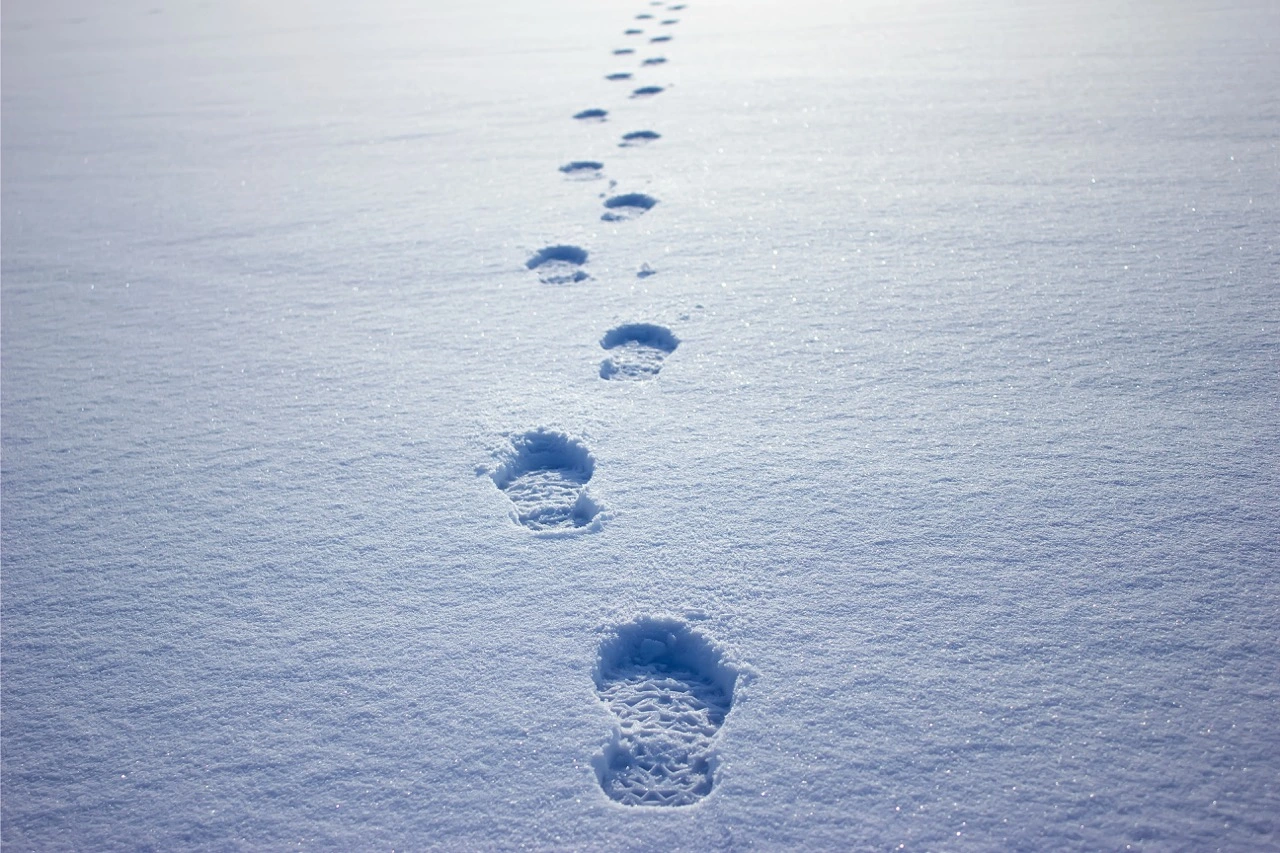Photographie de pas dans la neige